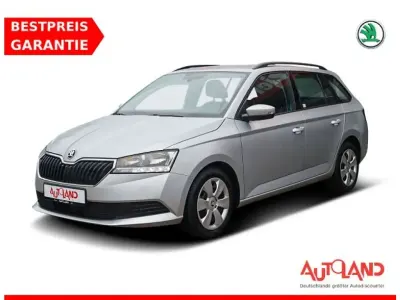 Gebraucht Skoda Fabia Active 60 PS (44 kW) 2022 Brillantsilber metallic (metallic) Kleinwagen