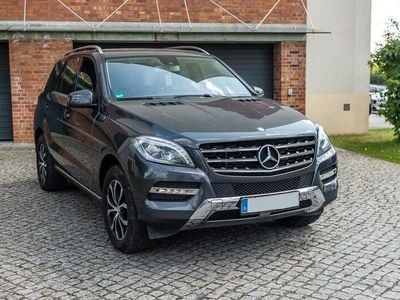Grau Gebraucht 2014 Mercedes ML250 SUV | 23.300 € (Fairer Preis)