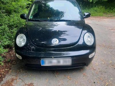 VW Beetle
