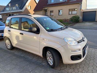 gebraucht Fiat Panda New1.2 - gepflegt, wenig gelaufen, TüV 26