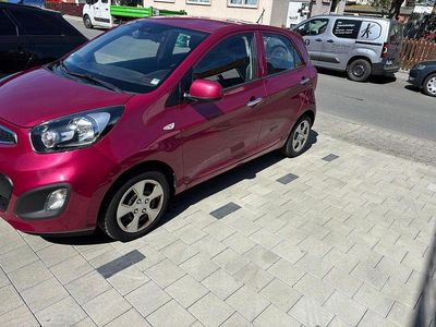 Usata Kia Picanto FIFA World Cup Edition 86 CV (63 kW) 2015 Utilitaria