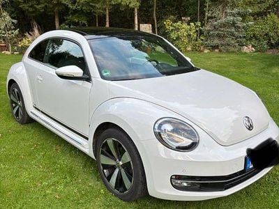 VW Beetle