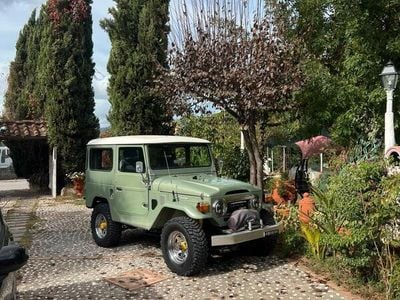 Grün Gebraucht 1975 Toyota Land Cruiser SUV | 19.950 €