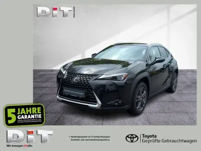 Gebraucht Lexus UX 250h 184 PS (135 kW) 2023 Graphite black (metallic) SUV