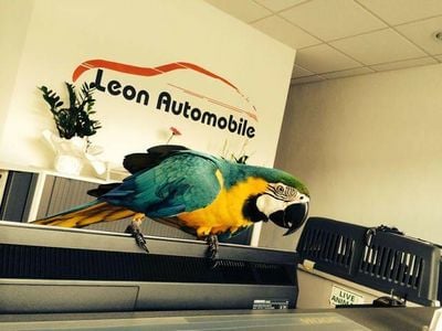 Gebraucht Mercedes A180 AMG 136 PS (100 kW) 2021 Schwarz Limousine