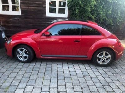 VW Beetle