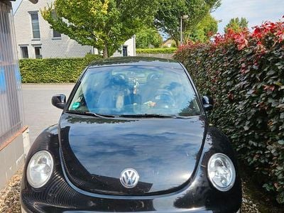 VW Beetle