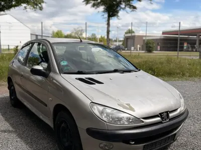 Gebraucht Peugeot 207 73 PS (53 kW) 2003 Grau Kleinwagen