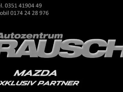 Brugt Mazda CX-3 Selection 121 HK (88 kW) 2021 Grå SUV
