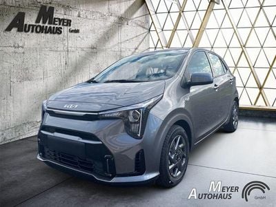 Astro grey m Neu 2025 Kia Picanto Vision Kleinwagen | 17.390 € (Fairer Preis)