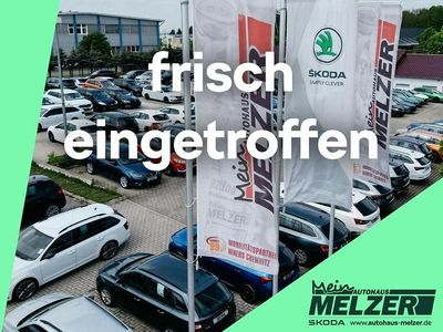 Gebraucht Skoda Scala Clever 110 PS (80 kW) 2021 Grau Kleinwagen