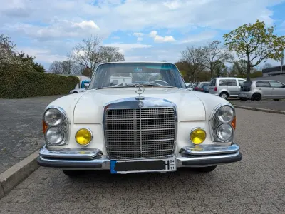 Gebraucht Mercedes 250 131 PS (96 kW) 1968 Weiß Limousine