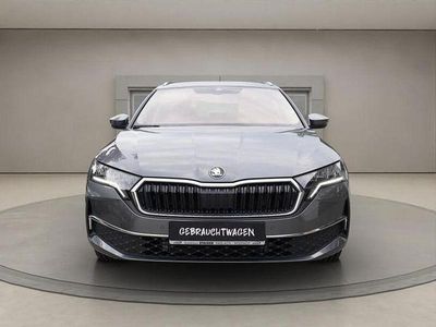 Grau Gebraucht 2024 Skoda Octavia | 30.850 € (Superpreis)