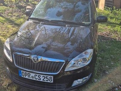 Usata Skoda Fabia Fresh 69 CV (50 kW) 2014 Nero Station wagon