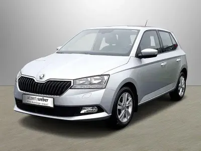 Gebraucht Skoda Fabia Style 95 PS (69 kW) 2020 Silber Kleinwagen