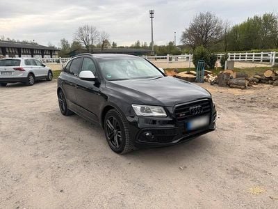 Usata Audi SQ5 313 CV (230 kW) 2014 Nero SUV