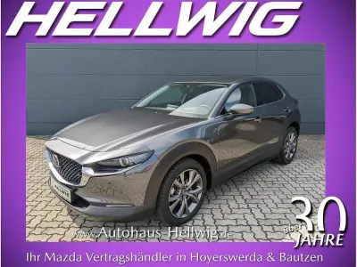 Gebraucht Mazda CX-30 Selection 179 PS (131 kW) 2020 Grau SUV