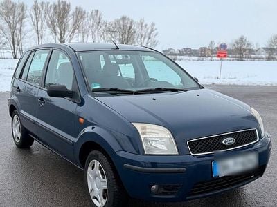 Blau Gebraucht 2003 Ford Fusion Kleinwagen | 2.450 € (Teuer)