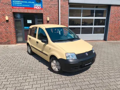 Gebraucht Fiat Panda Active 54 PS (39 kW) 2009 Gelb Kleinwagen