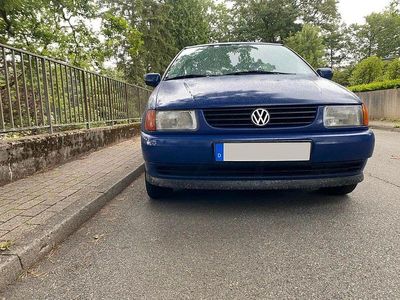 VW Polo
