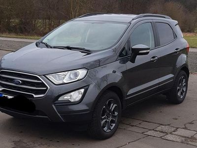 Gebraucht Ford Ecosport Cool & Connect 125 PS (91 kW) 2018 Braun SUV