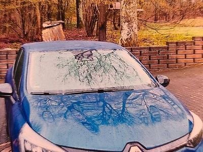 Gebraucht Renault Clio V Zen 91 PS (66 kW) 2021 Blau Kleinwagen