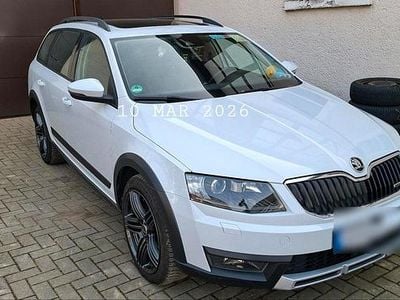 Gebraucht Skoda Octavia Scout 184 PS (135 kW) 2014 Weiß Kombi