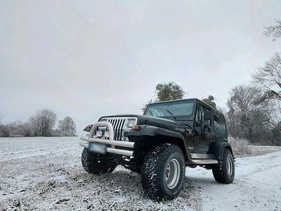 Gebraucht Jeep Wrangler 180 PS (132 kW) 1992 Schwarz SUV