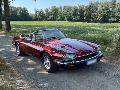 Occasion Jaguar XJS 233 ch (171 kW) 1993 Rouge Cabriolet