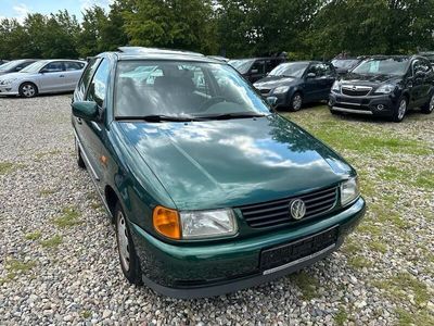 VW Polo
