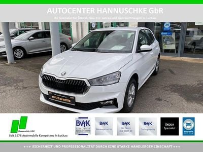 Nowe Skoda Fabia Selection 95 KM (69 kW) 2026 Szary Hatchback