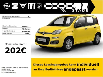Nuova Fiat Panda Icon 65 CV (47 kW) 2026 Giallo Utilitaria