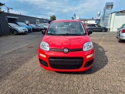 Gebraucht Fiat Panda Easy 69 PS (50 kW) 2020 Rot Kleinwagen