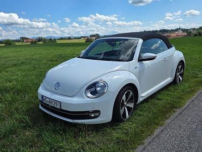 VW Beetle