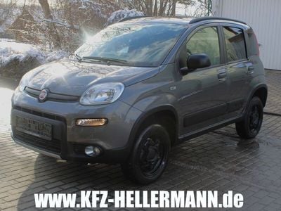 Fiat Panda 4x4