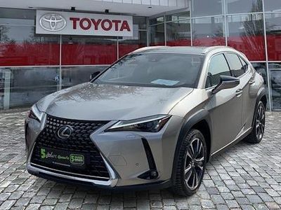 Gebraucht Lexus UX 250h 184 PS (135 kW) 2023 Weiß SUV