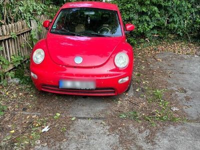 VW Beetle