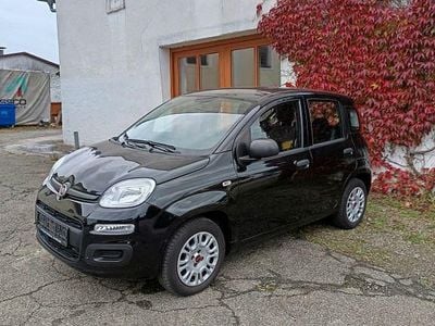 Gebraucht Fiat Panda Easy 69 PS (50 kW) 2018 Schwarz Kleinwagen