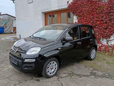 Schwarz Gebraucht 2018 Fiat Panda Easy Kleinwagen | 9.750 € (Fairer Preis)