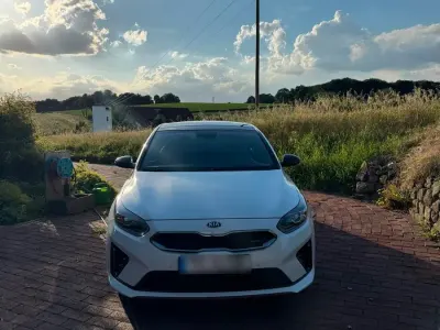 Gebraucht Kia ProCeed 204 PS (150 kW) 2020 Weiß Kombi