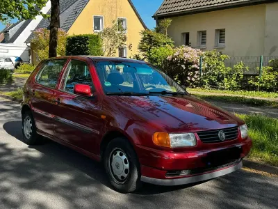 Usata VW Polo 60 CV (44 kW) 1996 Rosso Utilitaria