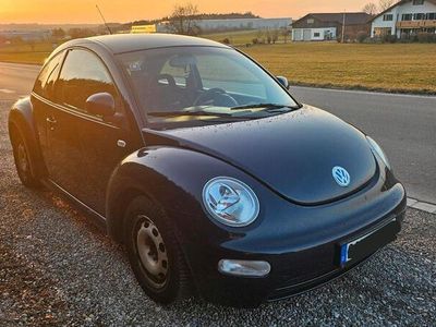 VW Beetle