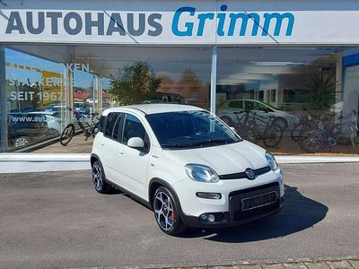 Gebraucht Fiat Panda Sport 69 PS (50 kW) 2022 Weiß Kleinwagen