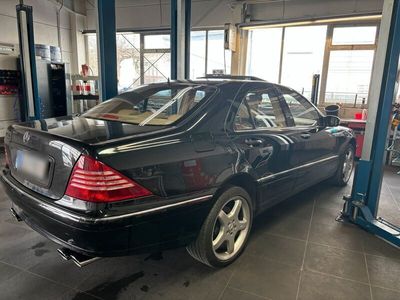 gebraucht Mercedes S500 w220