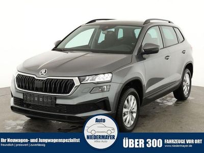 Stahl grau Neu 2025 Skoda Karoq Selection SUV | 31.495 € (Guter Preis)