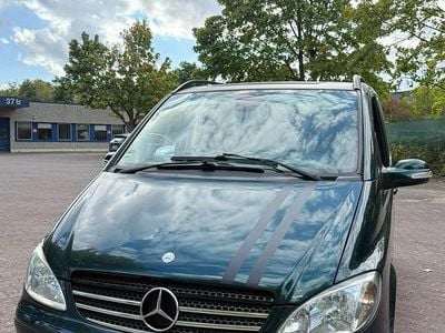 Mercedes Viano