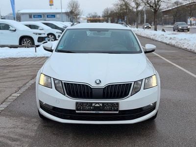 Gebraucht Skoda Octavia 150 PS (110 kW) 2019 Weiß Kombi