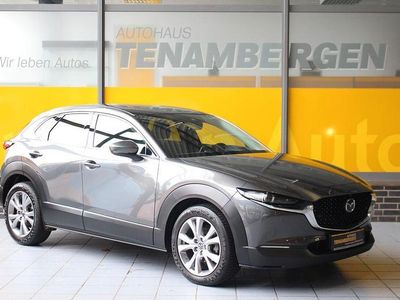 Gebraucht Mazda CX-30 Selection 150 PS (110 kW) 2021 Grau SUV