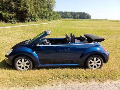 VW Beetle
