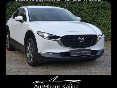 Gebraucht Mazda CX-30 Active 122 PS (89 kW) 2020 Snowflake white SUV